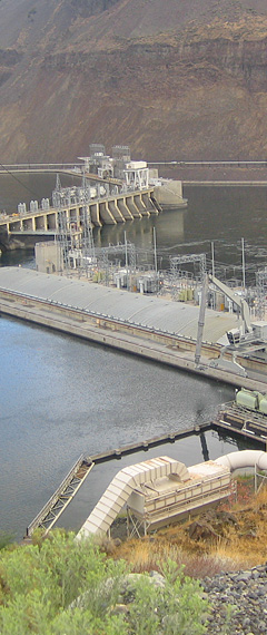 Rechenreinigungssystem